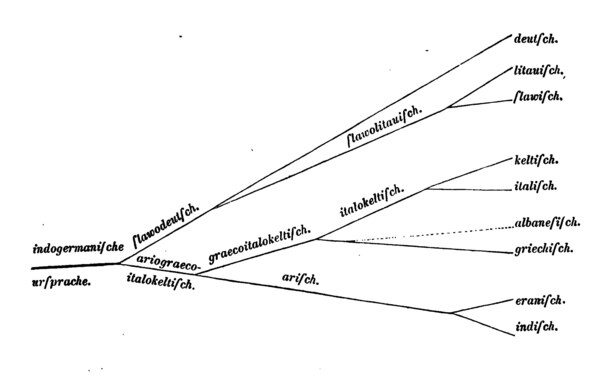 2880px-Schleicher_Tree-2.jpeg